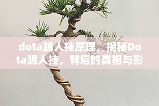 dota踢人挂原理,揭秘Dota踢人挂,背后的真相与影响 dota踢人挂原理,揭秘Dota踢人挂,背后的真相与影响