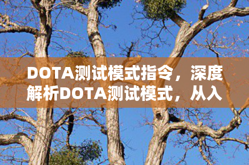 DOTA测试模式指令,深度解析DOTA测试模式,从入门到精通 DOTA测试模式指令,深度解析DOTA测试模式,从入门到精通