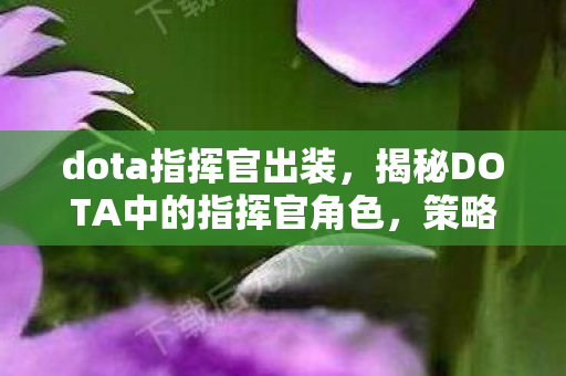 dota指挥官出装,揭秘DOTA中的指挥官角色,策略与决策的艺术 dota指挥官出装,揭秘DOTA中的指挥官角色,策略与决策的艺术