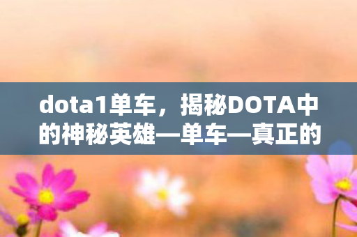 dota1单车，揭秘DOTA中的神秘英雄—单车—真正的身份与故事
