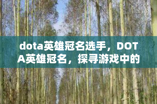 dota英雄冠名选手,DOTA英雄冠名,探寻游戏中的荣耀与传奇 dota英雄冠名选手,DOTA英雄冠名,探寻游戏中的荣耀与传奇