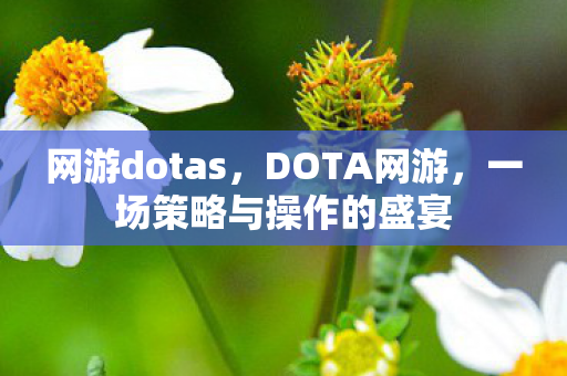 网游dotas,DOTA网游,一场策略与操作的盛宴 网游dotas,DOTA网游,一场策略与操作的盛宴