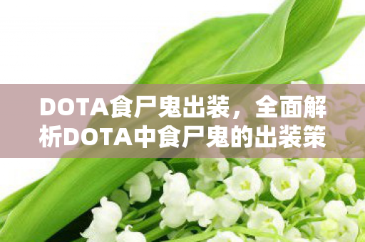 DOTA食尸鬼出装,全面解析DOTA中食尸鬼的出装策略 DOTA食尸鬼出装,全面解析DOTA中食尸鬼的出装策略