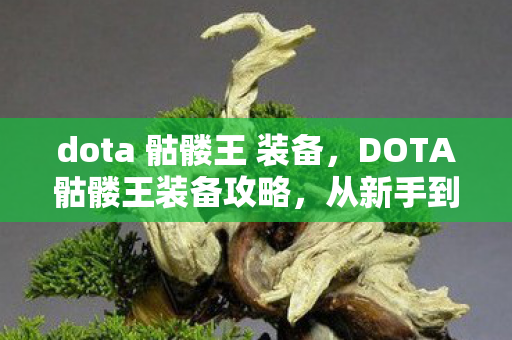 dota 骷髅王 装备,DOTA骷髅王装备攻略,从新手到高手的全面解析 dota 骷髅王 装备,DOTA骷髅王装备攻略,从新手到高手的全面解析