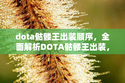 dota骷髅王出装顺序，全面解析DOTA骷髅王出装，让你轻松掌握核心装备搭配！