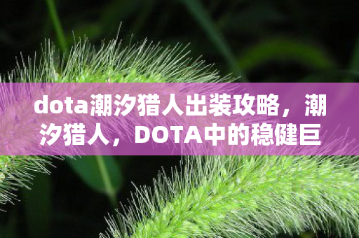 dota潮汐猎人出装攻略,潮汐猎人,DOTA中的稳健巨塔 dota潮汐猎人出装攻略,潮汐猎人,DOTA中的稳健巨塔