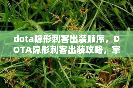 dota隐形刺客出装顺序，DOTA隐形刺客出装攻略，掌握核心装备，轻松提升战斗力！