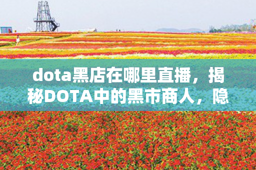 dota黑店在哪里直播,揭秘DOTA中的黑市商人,隐藏的秘密地点与神秘交易 dota黑店在哪里直播,揭秘DOTA中的黑市商人,隐藏的秘密地点与神秘交易