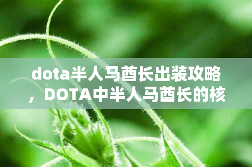 dota半人马酋长出装攻略,DOTA中半人马酋长的核心出装与战术解析 dota半人马酋长出装攻略,DOTA中半人马酋长的核心出装与战术解析