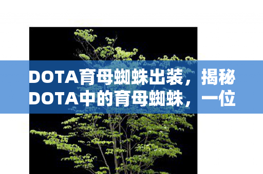 DOTA育母蜘蛛出装，揭秘DOTA中的育母蜘蛛，一位独特的英雄角色