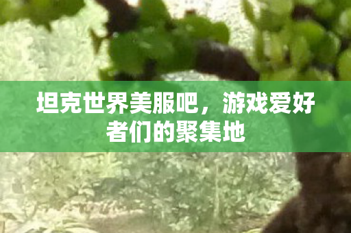 坦克世界美服吧,游戏爱好者们的聚集地 坦克世界美服吧,游戏爱好者们的聚集地