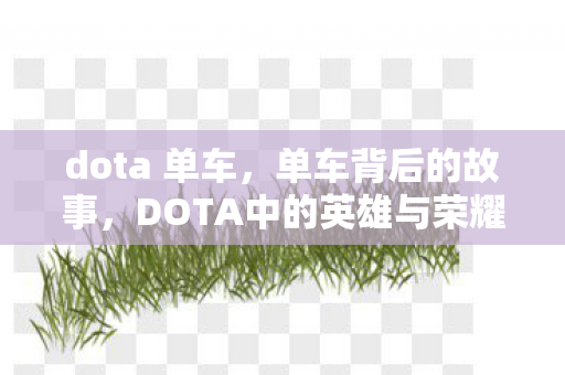 dota 单车,单车背后的故事,DOTA中的英雄与荣耀 dota 单车,单车背后的故事,DOTA中的英雄与荣耀