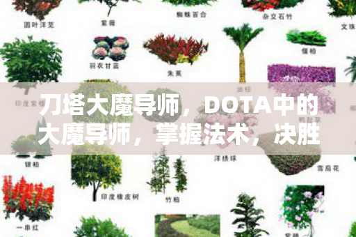 刀塔大魔导师,DOTA中的大魔导师,掌握法术,决胜千里 刀塔大魔导师,DOTA中的大魔导师,掌握法术,决胜千里