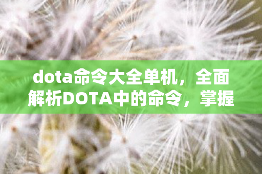 dota命令大全单机,全面解析DOTA中的命令,掌握游戏的关键指令 dota命令大全单机,全面解析DOTA中的命令,掌握游戏的关键指令