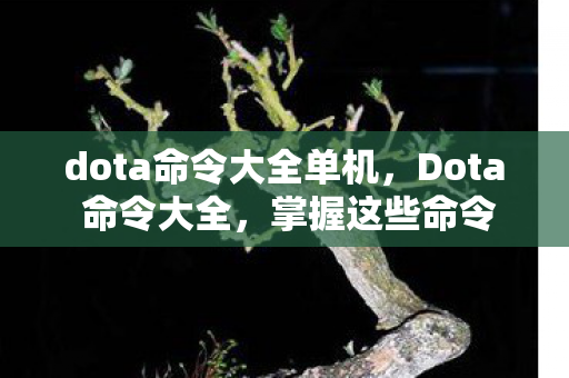 dota命令大全单机,Dota 命令大全,掌握这些命令,成为游戏高手! dota命令大全单机,Dota 命令大全,掌握这些命令,成为游戏高手!