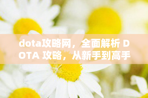 dota攻略网,全面解析 DOTA 攻略,从新手到高手的进阶之路 dota攻略网,全面解析 DOTA 攻略,从新手到高手的进阶之路