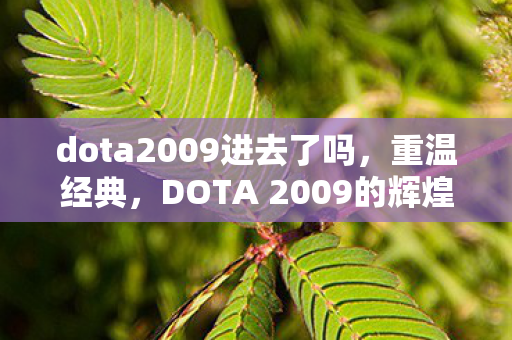 dota2009进去了吗,重温经典,DOTA 2009的辉煌与传奇 dota2009进去了吗,重温经典,DOTA 2009的辉煌与传奇