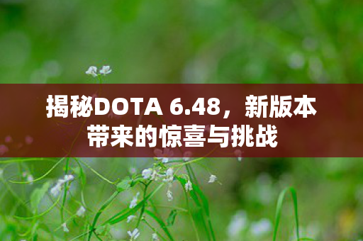 揭秘DOTA 6.48,新版本带来的惊喜与挑战 揭秘DOTA 6.48,新版本带来的惊喜与挑战