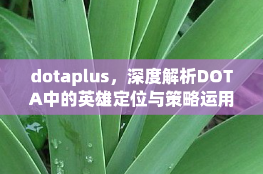 dotaplus,深度解析DOTA中的英雄定位与策略运用—以PL(帕克)为例 dotaplus,深度解析DOTA中的英雄定位与策略运用—以PL(帕克)为例