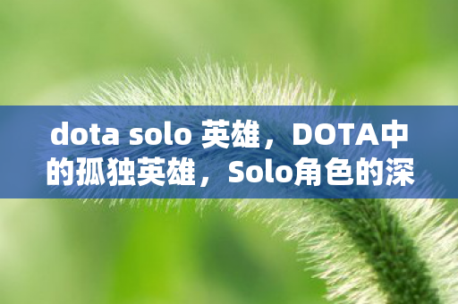 dota solo 英雄，DOTA中的孤独英雄，Solo角色的深度解析