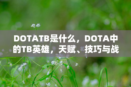 DOTATB是什么,DOTA中的TB英雄,天赋、技巧与战术解析 DOTATB是什么,DOTA中的TB英雄,天赋、技巧与战术解析