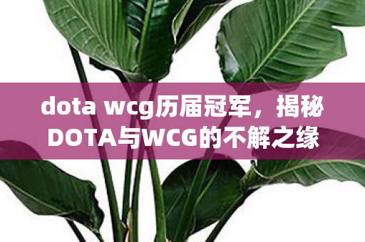 dota wcg历届冠军，揭秘DOTA与WCG的不解之缘