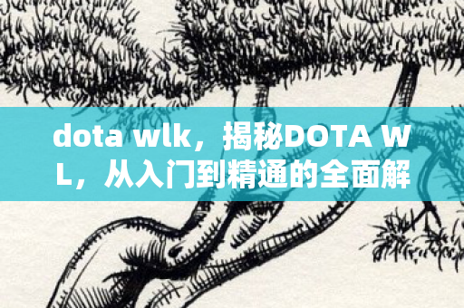 dota wlk,揭秘DOTA WL,从入门到精通的全面解析 dota wlk,揭秘DOTA WL,从入门到精通的全面解析
