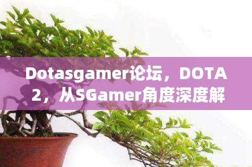 Dotasgamer论坛,DOTA 2,从SGamer角度深度解析 Dotasgamer论坛,DOTA 2,从SGamer角度深度解析