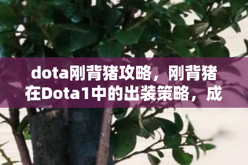 dota刚背猪攻略,刚背猪在Dota1中的出装策略,成为战场上的钢铁巨兽 dota刚背猪攻略,刚背猪在Dota1中的出装策略,成为战场上的钢铁巨兽
