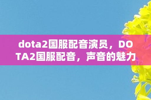 dota2国服配音演员，DOTA2国服配音，声音的魅力与玩家的情怀
