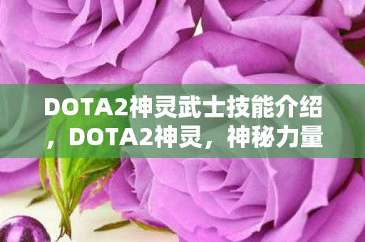 DOTA2神灵武士技能介绍，DOTA2神灵，神秘力量的巅峰对决