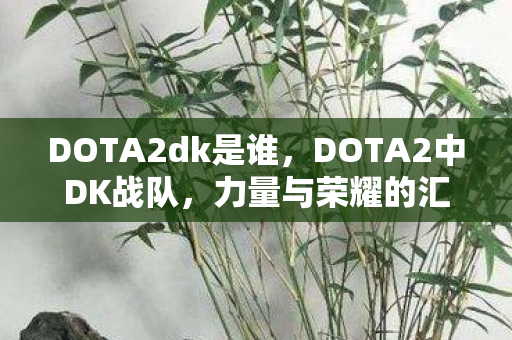 DOTA2dk是谁,DOTA2中DK战队,力量与荣耀的汇聚 DOTA2dk是谁,DOTA2中DK战队,力量与荣耀的汇聚
