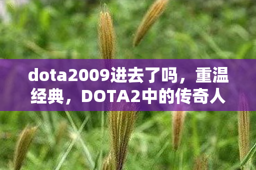 dota2009进去了吗,重温经典,DOTA2中的传奇人物—从DOTA2009看游戏的发展与变迁 dota2009进去了吗,重温经典,DOTA2中的传奇人物—从DOTA2009看游戏的发展与变迁