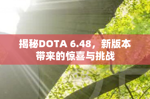揭秘DOTA 6.48，新版本带来的惊喜与挑战