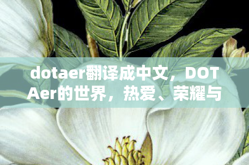 dotaer翻译成中文,DOTAer的世界,热爱、荣耀与挑战 dotaer翻译成中文,DOTAer的世界,热爱、荣耀与挑战