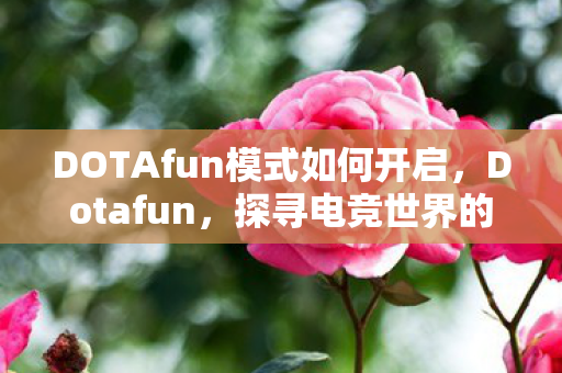 DOTAfun模式如何开启,Dotafun,探寻电竞世界的魅力之源 DOTAfun模式如何开启,Dotafun,探寻电竞世界的魅力之源