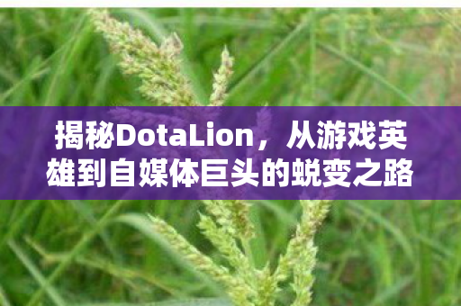 揭秘DotaLion,从游戏英雄到自媒体巨头的蜕变之路 揭秘DotaLion,从游戏英雄到自媒体巨头的蜕变之路