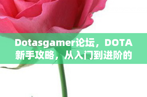 Dotasgamer论坛，DOTA新手攻略，从入门到进阶的全方位指南（DOTASG）