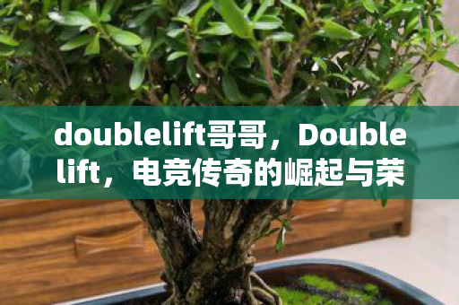 doublelift哥哥，Doublelift，电竞传奇的崛起与荣光