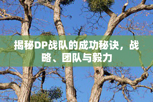 揭秘DP战队的成功秘诀，战略、团队与毅力