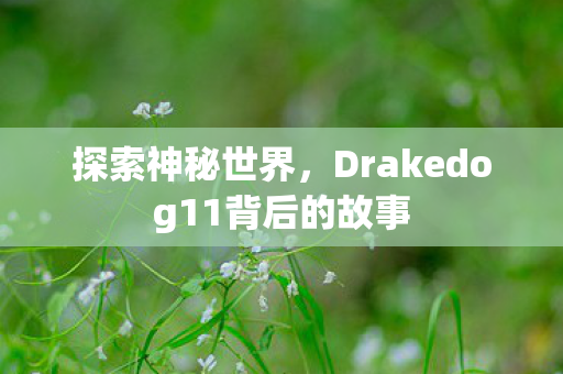 探索神秘世界,Drakedog11背后的故事 探索神秘世界,Drakedog11背后的故事