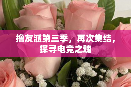 撸友派第三季,再次集结,探寻电竞之魂 撸友派第三季,再次集结,探寻电竞之魂