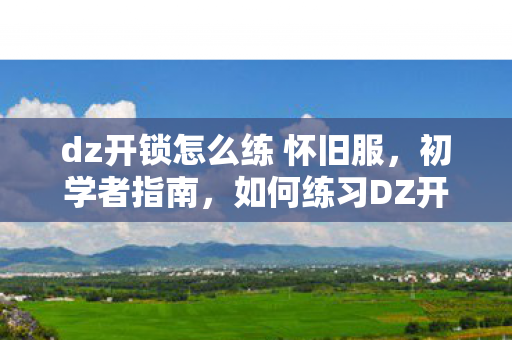dz开锁怎么练 怀旧服，初学者指南，如何练习DZ开锁技能