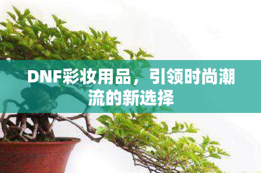 DNF彩妆用品,引领时尚潮流的新选择 DNF彩妆用品,引领时尚潮流的新选择