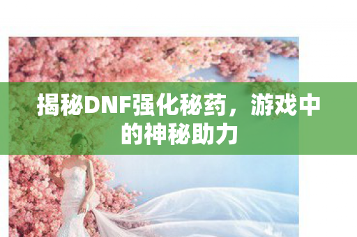 揭秘DNF强化秘药,游戏中的神秘助力 揭秘DNF强化秘药,游戏中的神秘助力