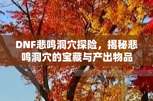 DNF悲鸣洞穴探险,揭秘悲鸣洞穴的宝藏与产出物品 DNF悲鸣洞穴探险,揭秘悲鸣洞穴的宝藏与产出物品