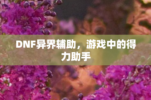 DNF异界辅助,游戏中的得力助手 DNF异界辅助,游戏中的得力助手