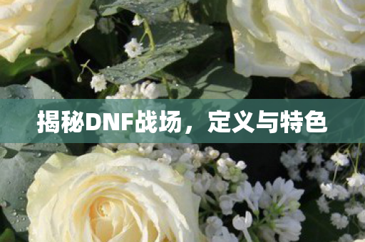 揭秘DNF战场,定义与特色 揭秘DNF战场,定义与特色