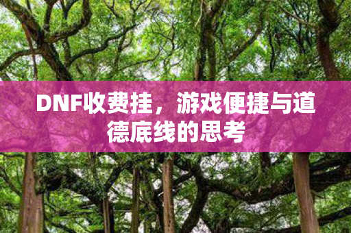 DNF收费挂,游戏便捷与道德底线的思考 DNF收费挂,游戏便捷与道德底线的思考