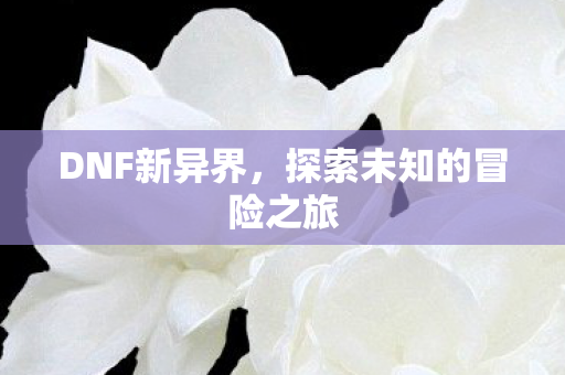 DNF新异界,探索未知的冒险之旅 DNF新异界,探索未知的冒险之旅